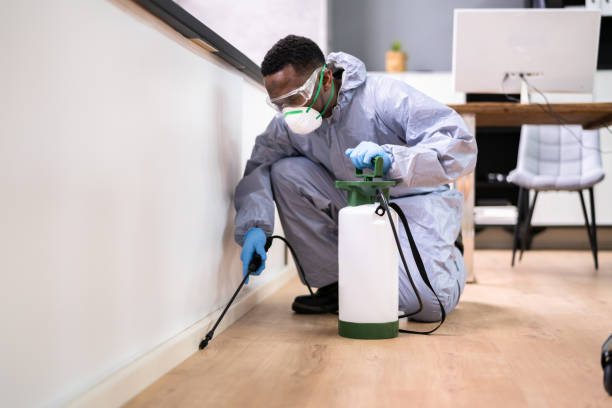 Reliable Nashua, NH Pest control Solutions